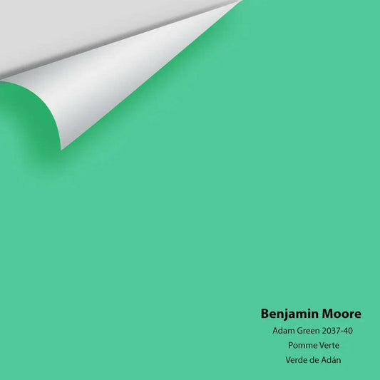 Big Paint Chip - Adam Green 2037-40