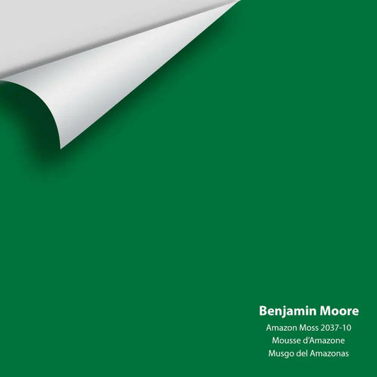 Big Paint Chip - Amazon Moss 2037-10