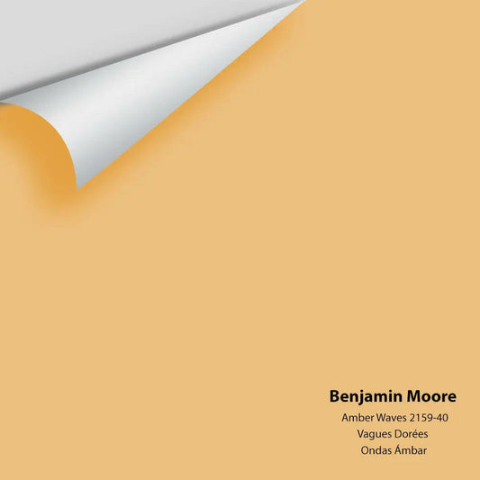 Big Paint Chip - Amber Waves 2159-40