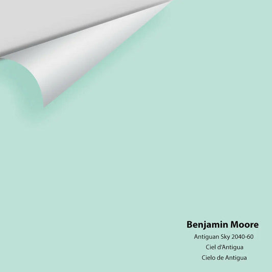 Big Paint Chip - Antiguan Sky 2040-60