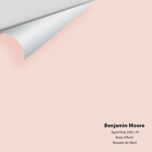 Big Paint Chip - April Pink 2091-70