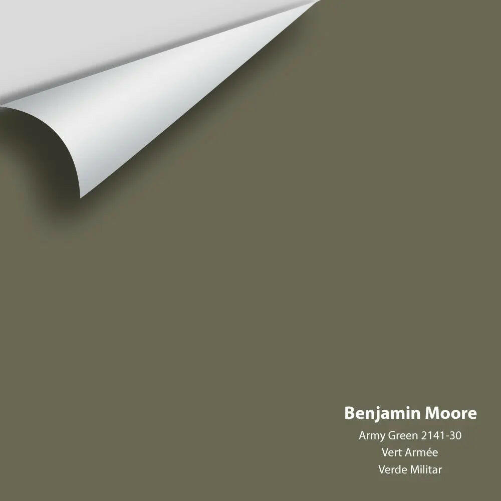 Big Paint Chip - Army Green 2141-30