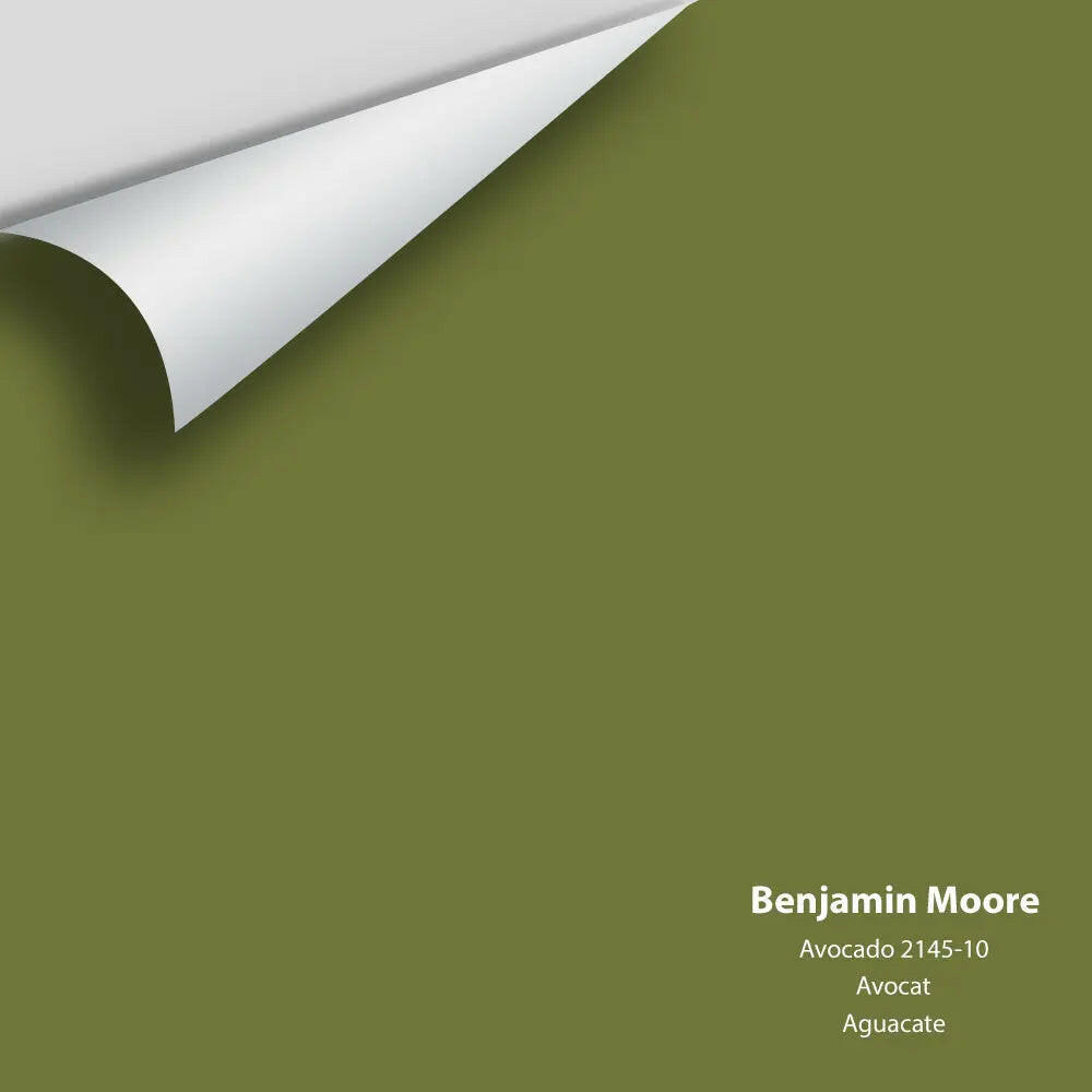 Big Paint Chip - Avocado 2145-10
