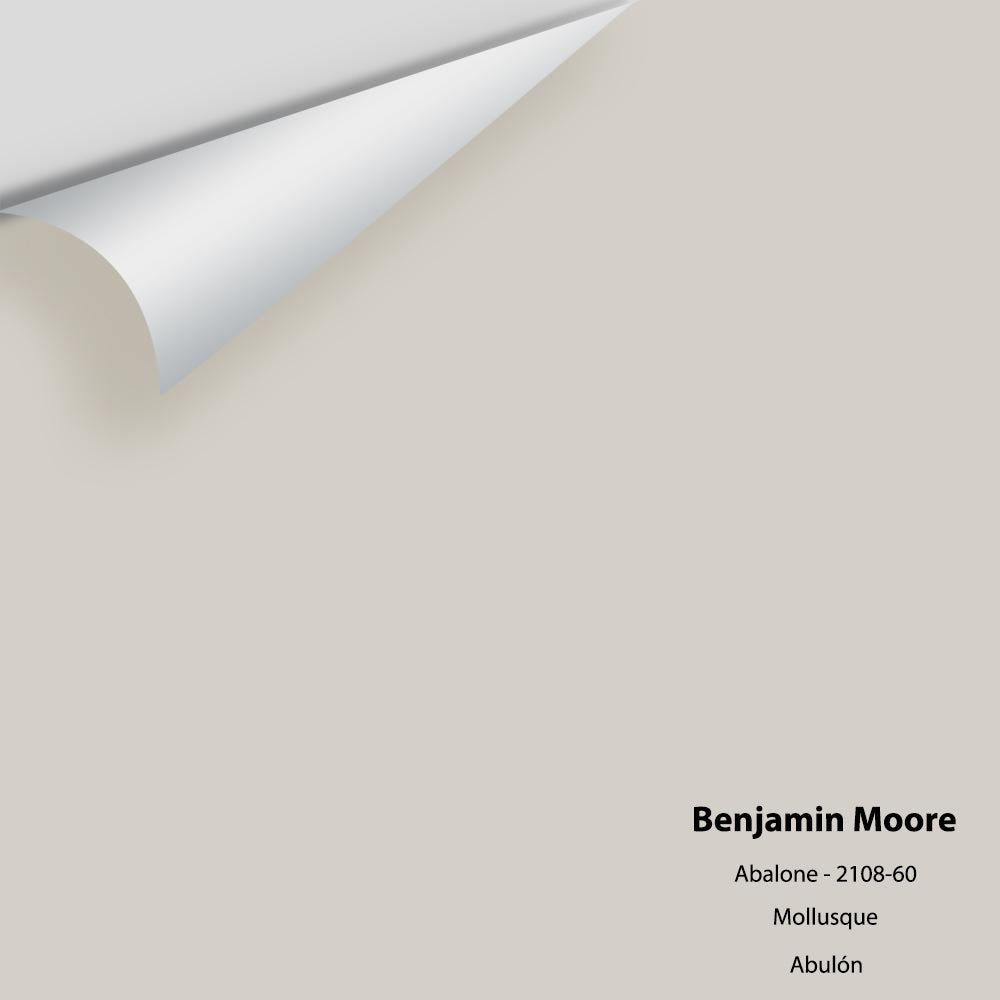 Big Paint Chip - Abalone 2108-60 - Colour Sample