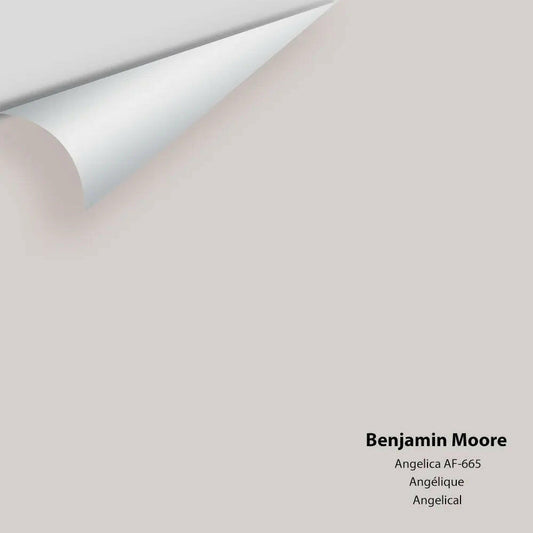 Benjamin Moore - Angelica AF-665 Colour Sample
