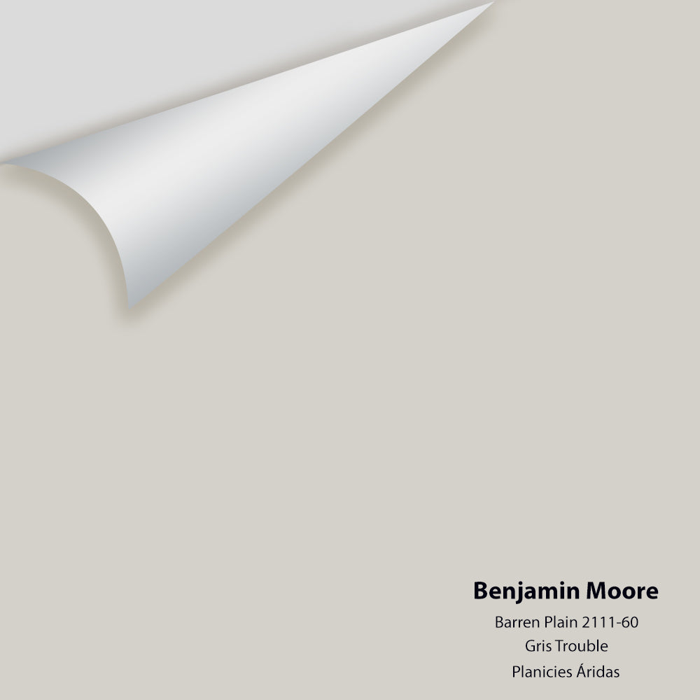 Big Paint Chip - Barren Plain 2111-60 - Colour Squared Inc.