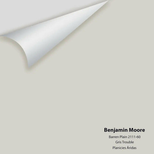 Benjamin Moore - Barren Plain 2111-60 Colour Sample