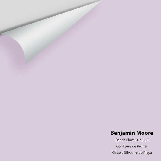 Big Paint Chip - Beach Plum 2072-60