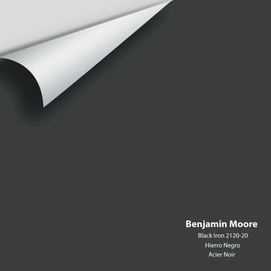Big Paint Chip - Black Iron 2120-20