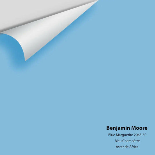 Big Paint Chip - Blue Marguerite 2063-50
