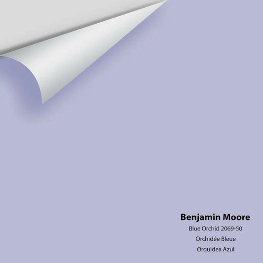 Big Paint Chip - Blue Orchid 2069-50