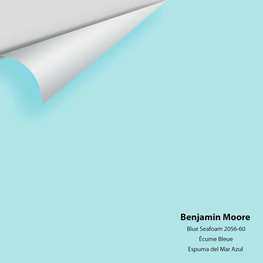 Big Paint Chip - Blue Seafoam 2056-60