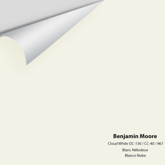 Big Paint Chip - Cloud White OC-130 / CC-40 / 967 - Colour Squared Inc.