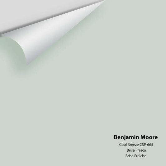 Benjamin Moore - Cool Breeze CSP-665 Colour Sample