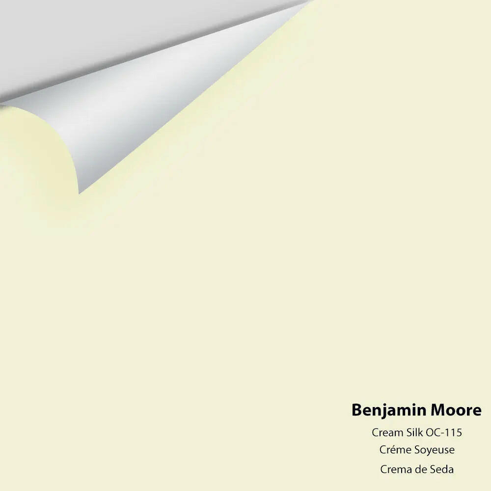 Big Paint Chip - Cream Silk 2146-60 / OC-115