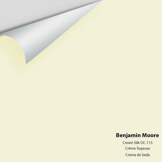 Big Paint Chip - Cream Silk 2146-60 / OC-115