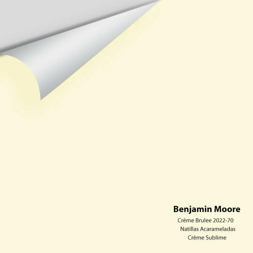 Benjamin Moore - Créme Brulee 2022-70 Colour Sample