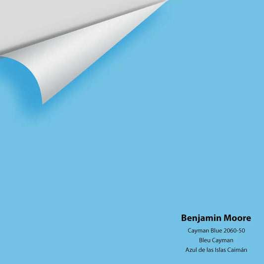 Big Paint Chip - Cayman Blue 2060-50