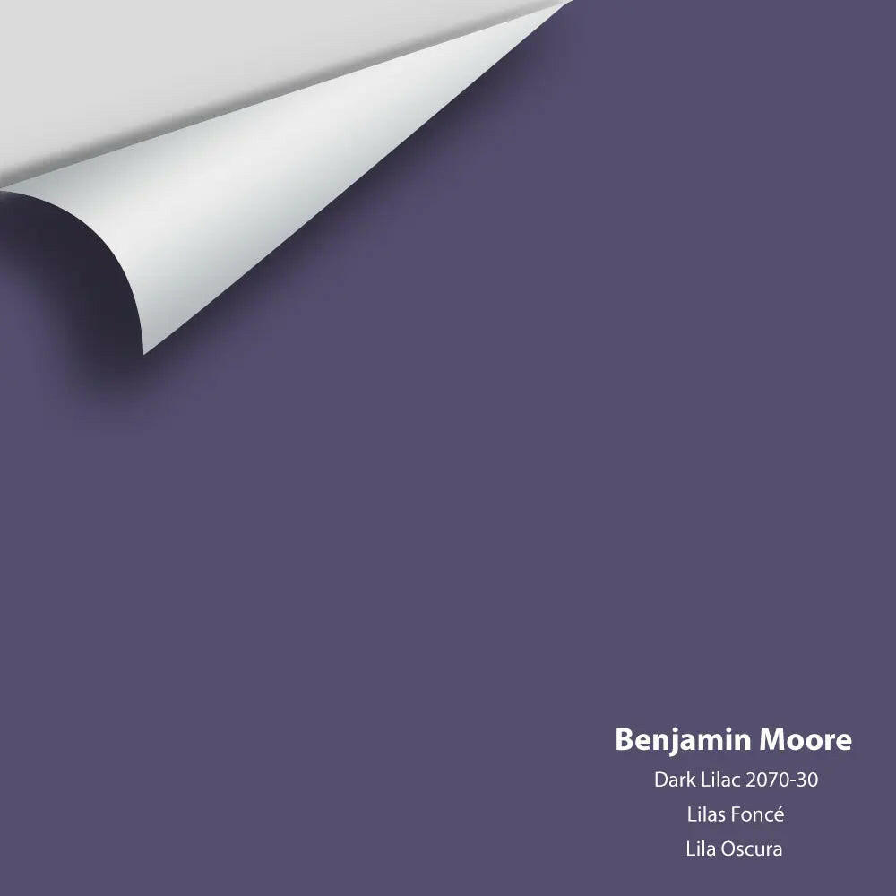 Big Paint Chip - Dark Lilac 2070-30