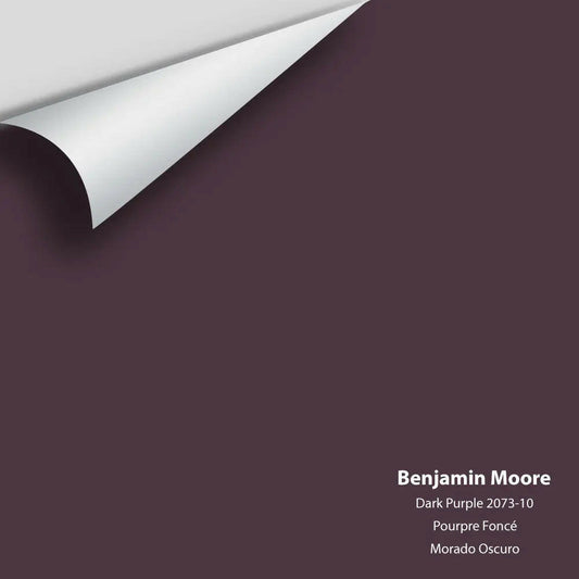 Big Paint Chip - Dark Purple 2073-10