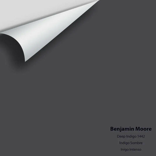 Big Paint Chip - Deep Indigo 1442