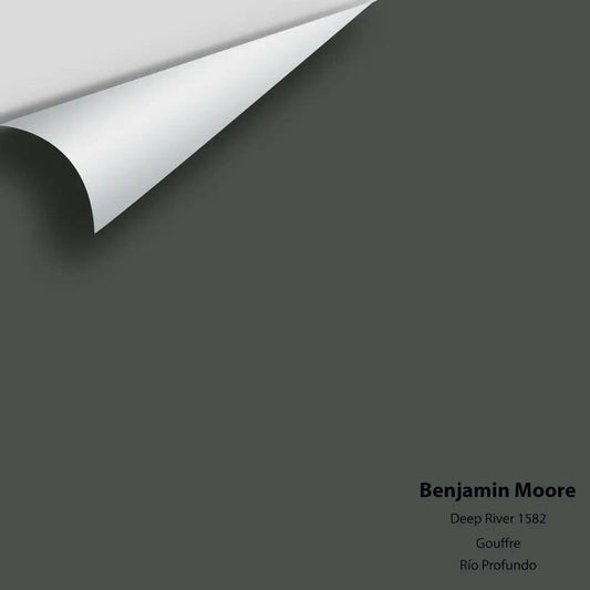 Big Paint Chip - Deep River 1582