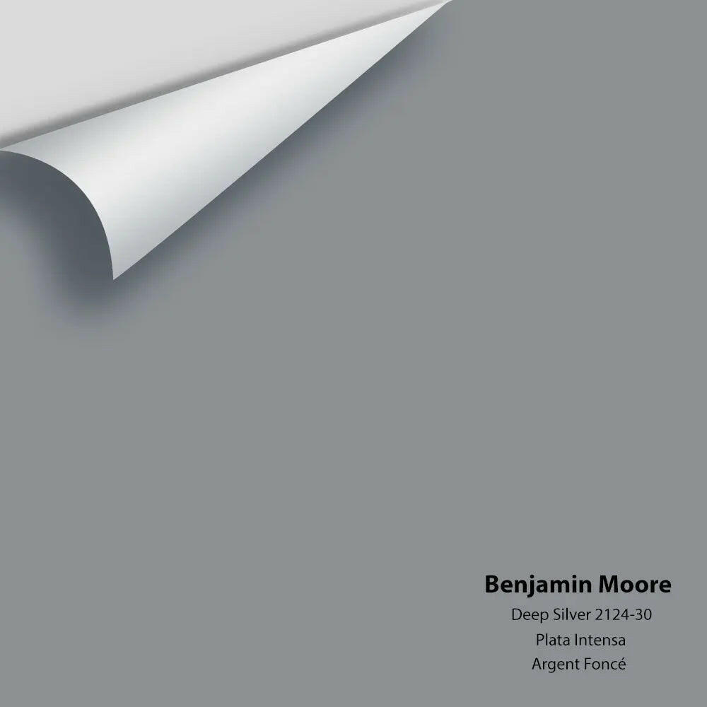 Benjamin Moore - Deep Silver 2124-30 Colour Sample
