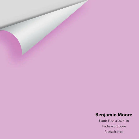 Big Paint Chip - Exotic Fuchsia 2074-50