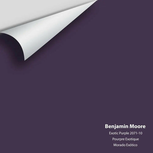 Big Paint Chip - Exotic Purple 2071-10