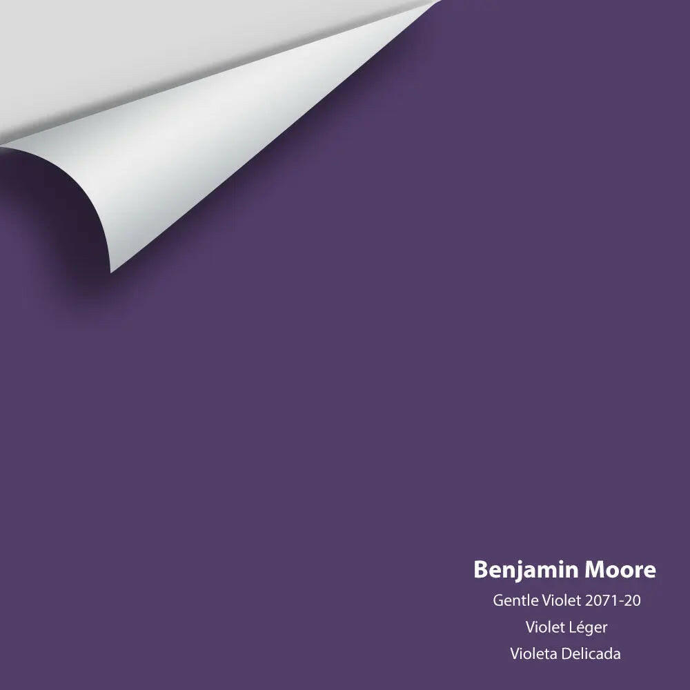 Big Paint Chip - Gentle Violet 2071-20