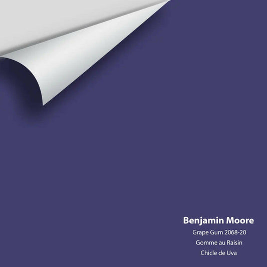 Big Paint Chip - Grape Gum 2068-20