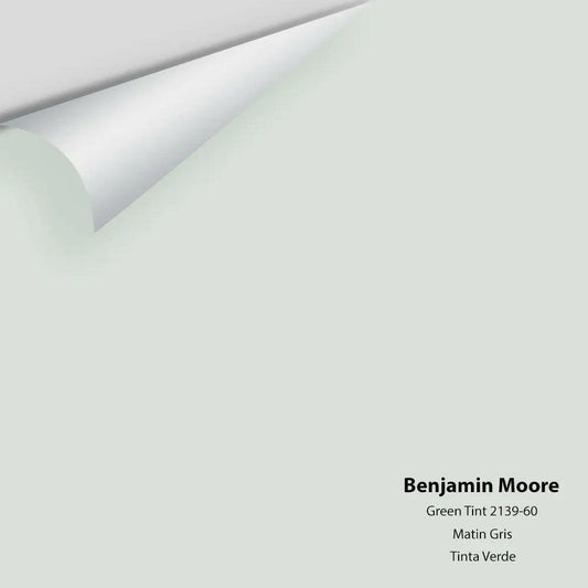 Big Paint Chip - Green Tint 2139-60