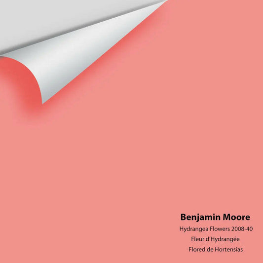 Benjamin Moore - Hydrangea Flowers 2008-40 Colour Sample