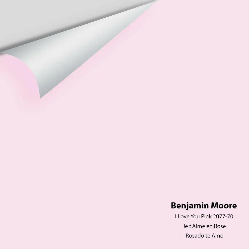 Big Paint Chip - I Love You Pink 2077-70