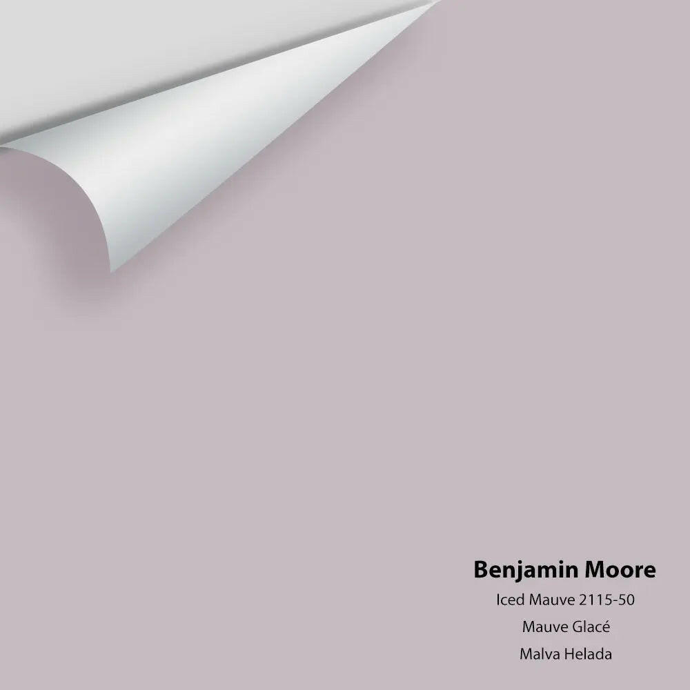 Big Paint Chip - Iced Mauve 2115-50