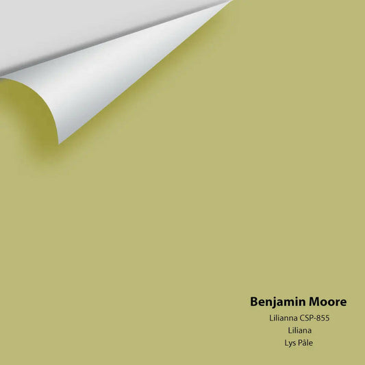 Big Paint Chip - Lilianna CSP-855