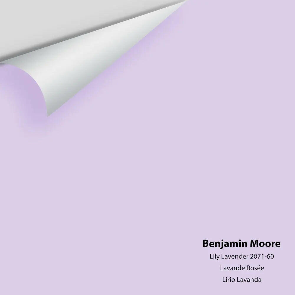 Big Paint Chip - Lily Lavender 2071-60