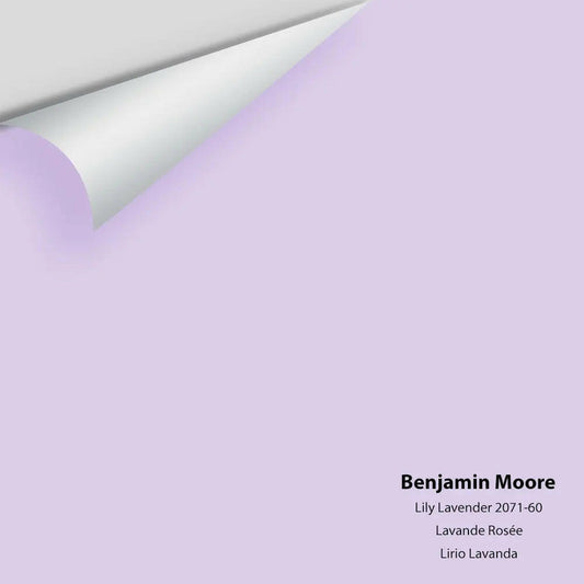 Big Paint Chip - Lily Lavender 2071-60