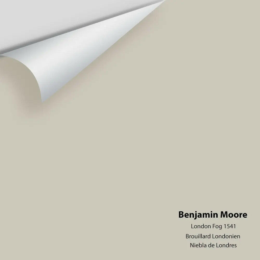 Benjamin Moore - London Fog 1541 Colour Sample