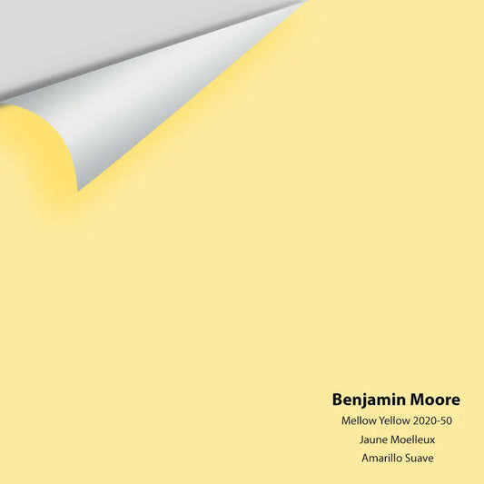 Big Paint Chip - Mellow Yellow 2020-50