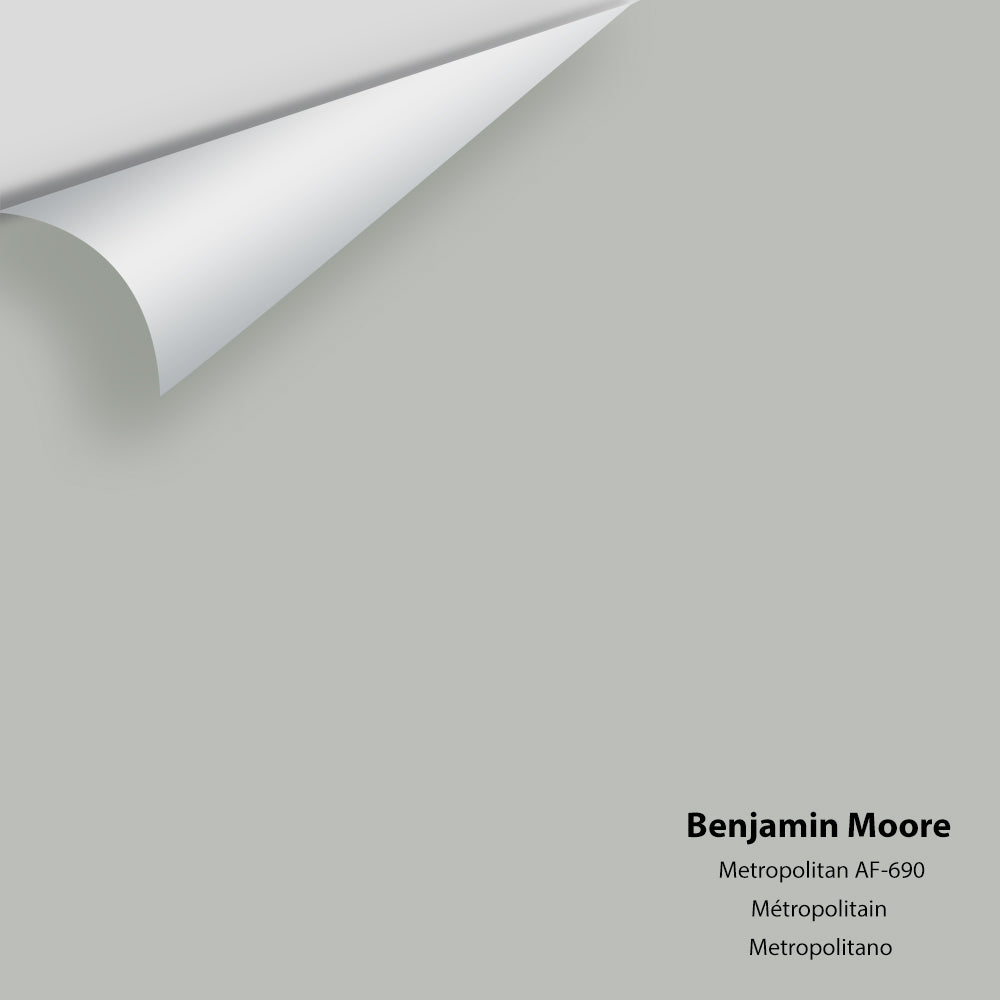 Big Paint Chip - Metropolitan AF-690 - Colour Squared Inc.