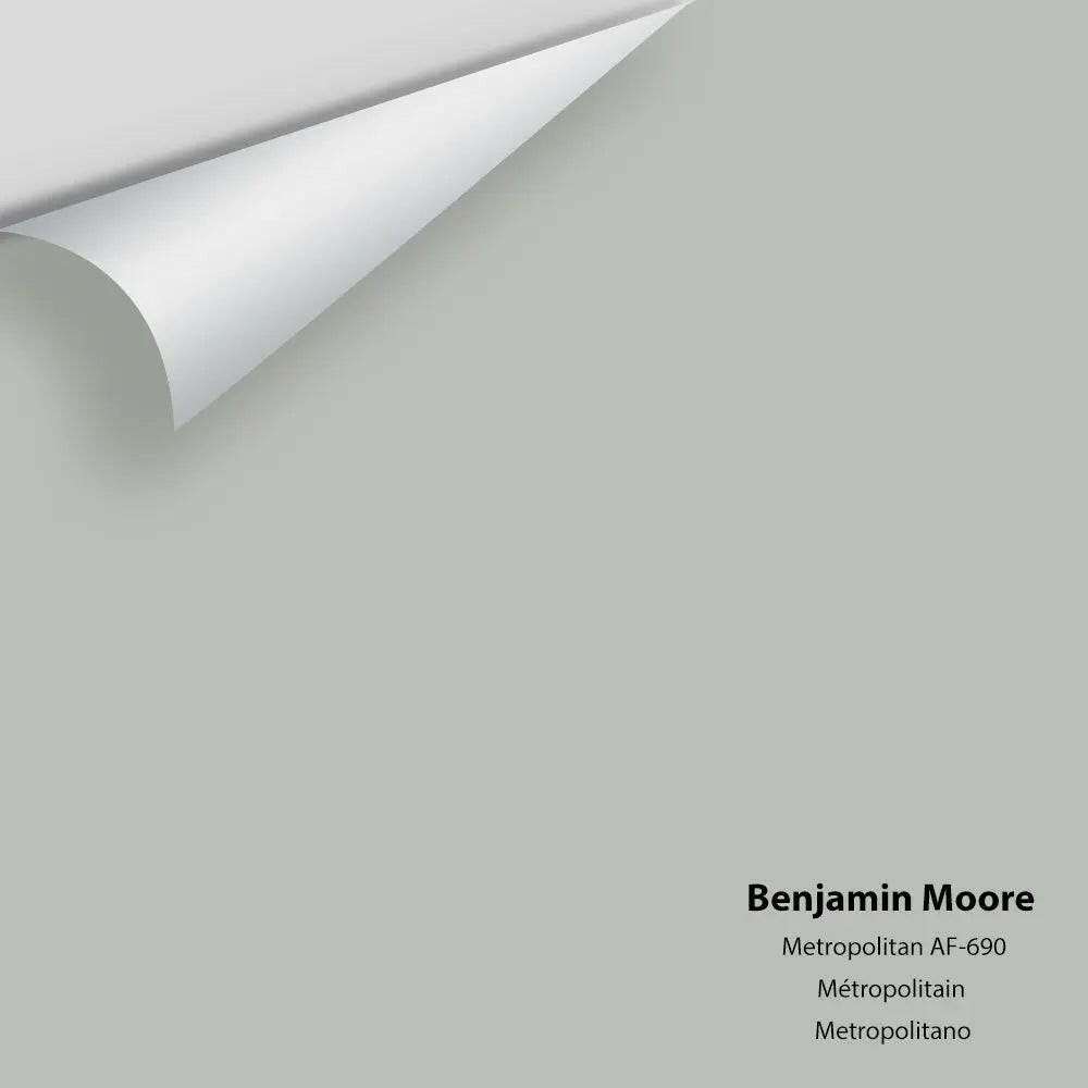 Benjamin Moore - Metropolitan AF-690 Colour Sample