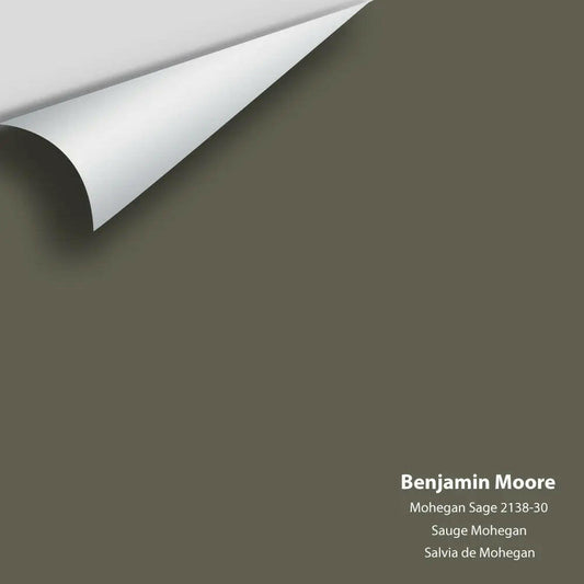 Big Paint Chip - Mohegan Sage 2138-30