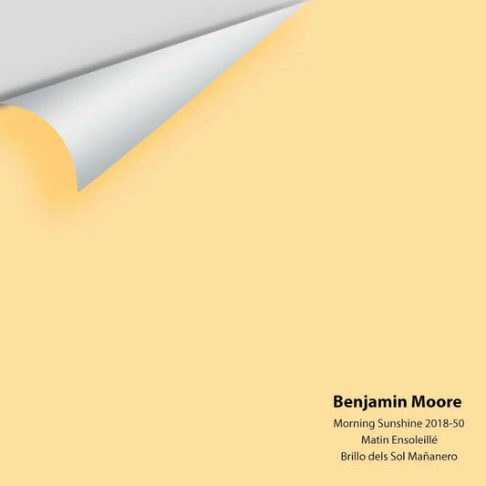 Big Paint Chip - Morning Sunshine 2018-50