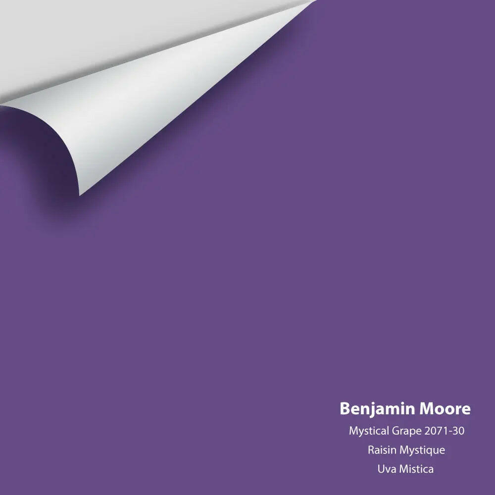 Big Paint Chip - Mystical Grape 2071-30