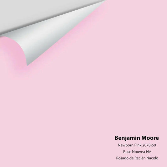 Big Paint Chip - Newborn Pink 2078-60