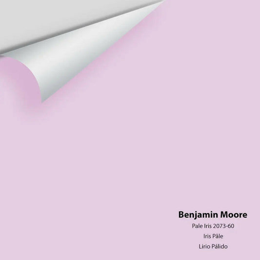 Big Paint Chip - Pale Iris 2073-60