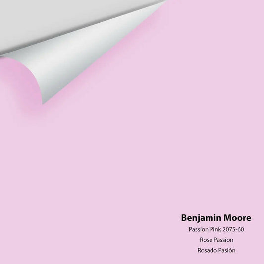 Big Paint Chip - Passion Pink 2075-60