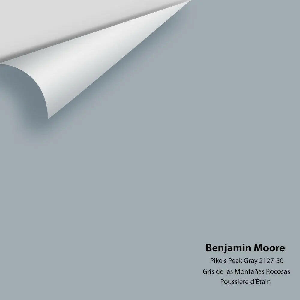Big Paint Chip - Pike's Peak Gray 2127-50 Colour Sample