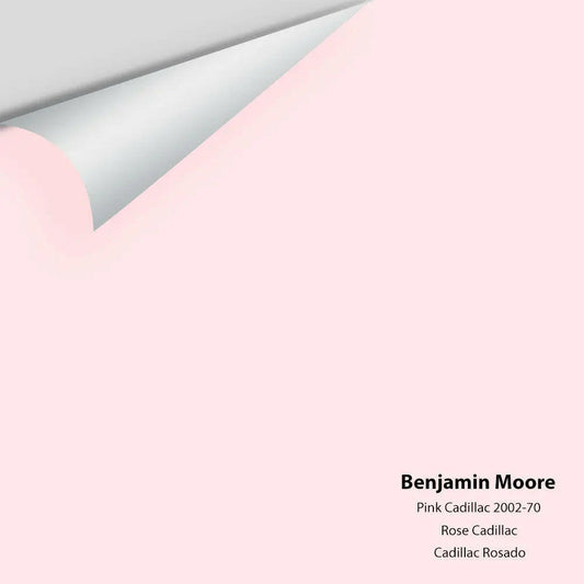 Big Paint Chip - Pink Cadillac 2002-70